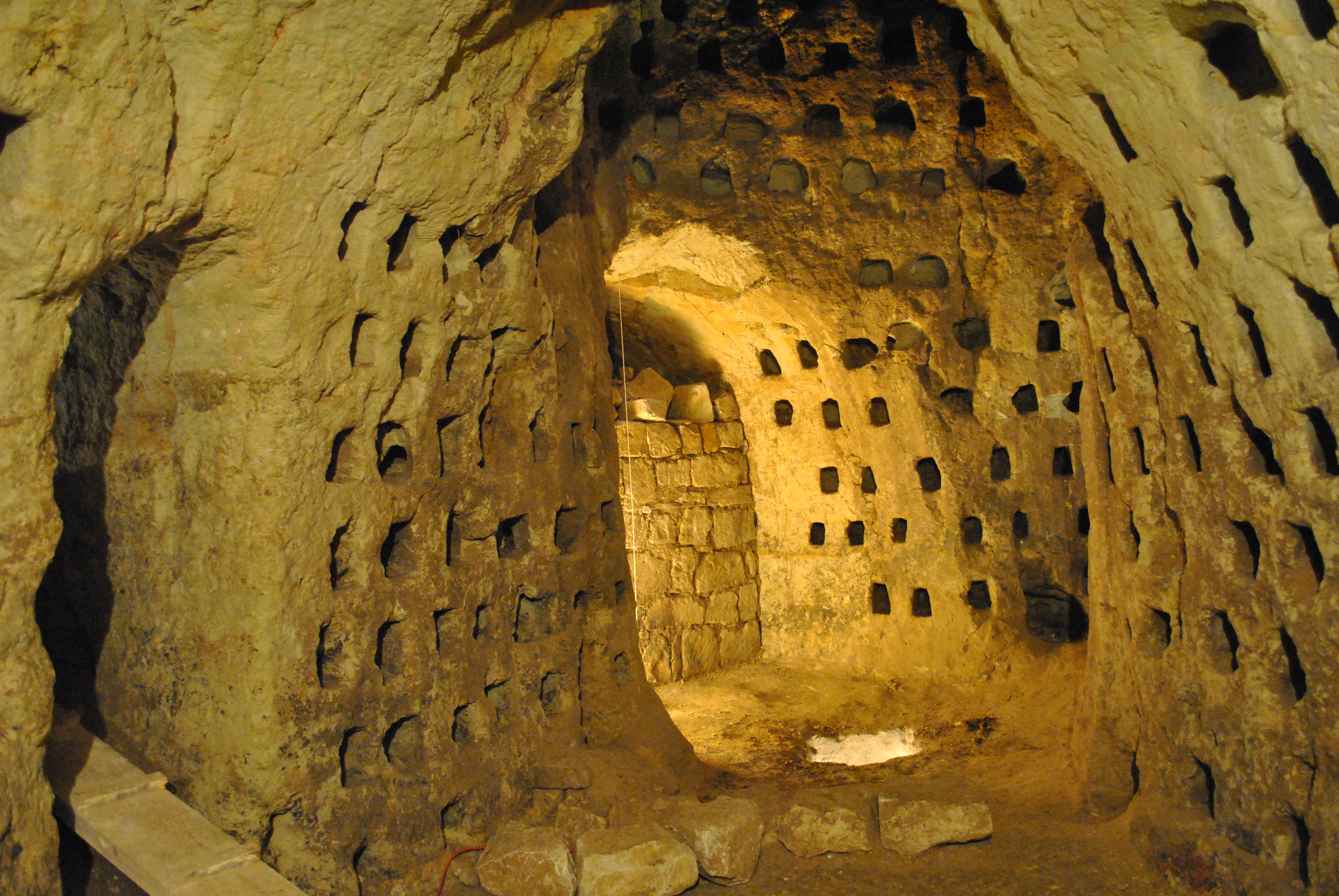 Troglodytes de la Tourette