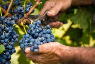 fotolia-88852245-subscription-xxl-s-